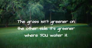 The Grass is Always Greener on the Other Side