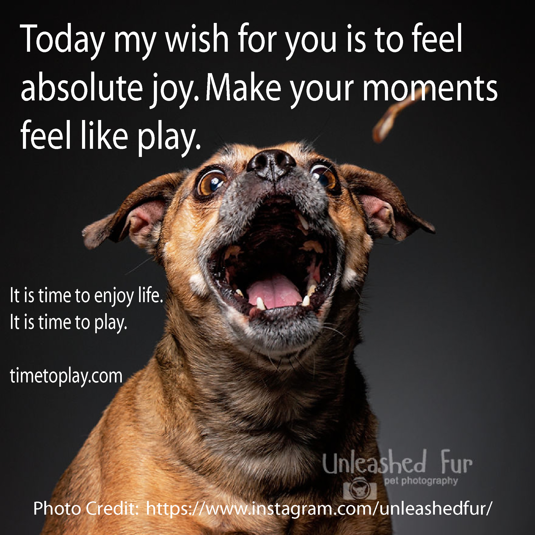 Absolute Joy Time To Play